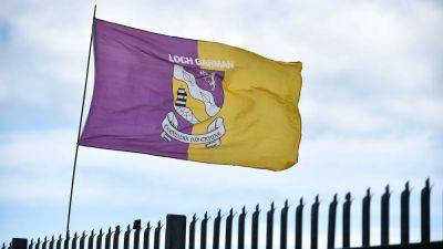 Relegation could set Wexford back years - Michael 'Brick' Walsh