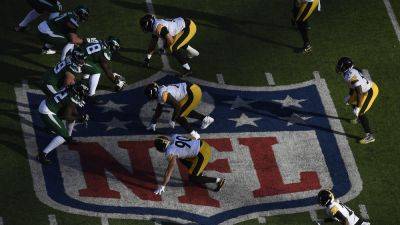 Pittsburgh Steelers share vision to play NFL games at Croke Park