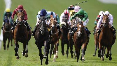 'Premier' meetings planned in ambitious British racing shake-up - rte.ie - Britain -  Newcastle -  Chelmsford
