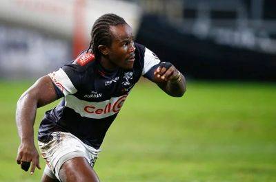 Wayward Sharks go to top of Currie Cup log on a frustrating day in dusty Welkom