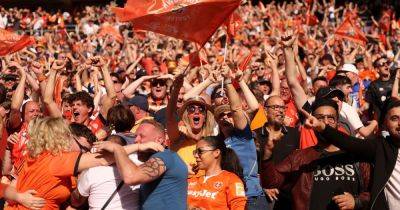 Luton seal Premier League promotion as they cap stunning rise from non league to top tier riches