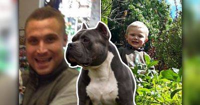 Jonathan Hogg - A child and father dead, and many more seriously hurt... why Greater Manchester is seeing so many horrific dog attacks - manchestereveningnews.co.uk - Manchester - county Lane