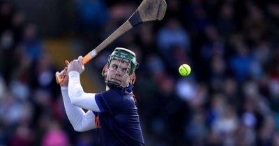 Davy Fitzgerald - Liam Cahill - Tipperary Gaa - Tipperary goalkeeper thankful as hurley is returned after it was taken on Sunday - breakingnews.ie - Ireland