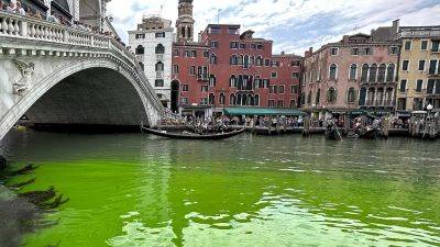 Venice's Grand Canal has turned bright green but no one knows who's behind it