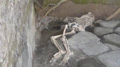 Three skeletal remains and two new frescos uncovered at Pompeii site