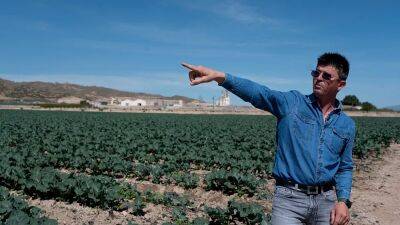 Murcia’s farmers fear for the future as Spain cuts water supplies from River Tagus