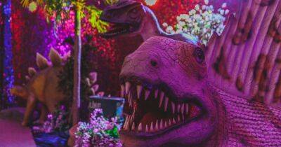 New dinosaur trail opens in Greater Manchester this Coronation weekend and tickets cost a fiver