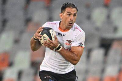 Cheetahs duo set to achieve significant milestones ahead of WP battle
