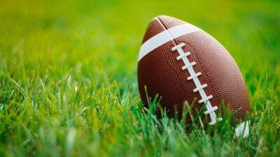 Nashville high school football coach sued for allegedly 'clotheslining' a referee - foxnews.com -  Nashville