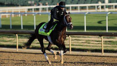 Kentucky Derby favorite scratched from race due to bruised right foot