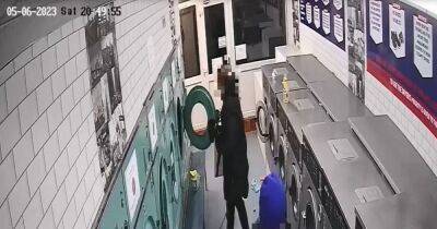 Evening News - 'It's heartbreaking... I couldn't watch anymore': CCTV captures cruel moment boy puts dog in tumble dryer - manchestereveningnews.co.uk - Manchester