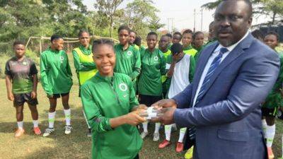 Naija Ratels boss, Edeh, joins Benue FA chairmanship race - guardian.ng - Nigeria