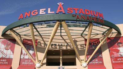 California man sues Angels after being left permanently blind in one eye by ball allegedly thrown by player