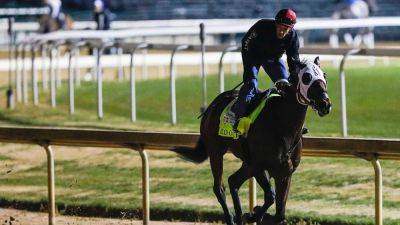 Churchill Downs announces new safety initiatives in response to 'unusually high' horse deaths