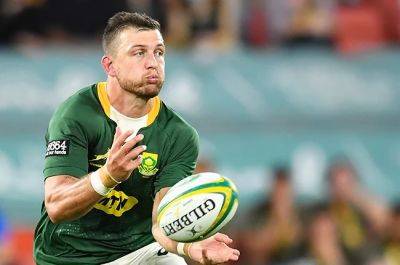Overseas Springboks on board as Nienaber names 40-man Rugby Championship training squad