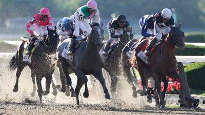 Mike Stobe - Belmont Stakes betting: Bets you can place and where to make your wager - foxnews.com - New York -  New York -  Kentucky - county Belmont
