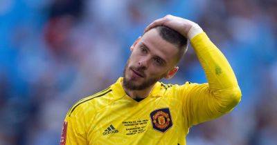 Roy Keane's former Manchester United teammate disagrees with his David de Gea verdict