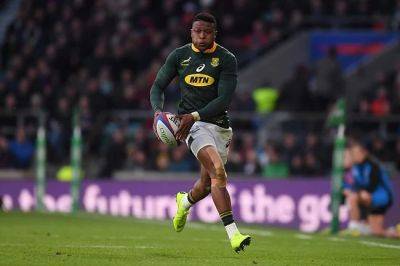 Former Bok star Dyantyi gets rugby lifeline with Sharks deal