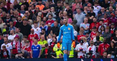 David Raya - David De-Gea - Nottingham Forest - Diogo Costa - Who Manchester United could target to replace David de Gea amid contract uncertainty - manchestereveningnews.co.uk - Manchester - Portugal - Brazil - Saudi Arabia - Jordan - county Forest - county Henderson
