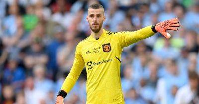 'Interesting' - Manchester United fans make same David de Gea point as seven players released