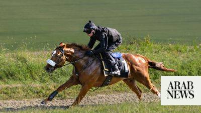 Royal Ascot hopeful Chaldean lines up for Balding, Juddmonte’s newest trainer