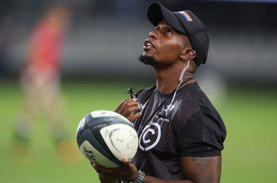 Six straight wins, but who's counting? Mangalo keeps Currie Cup table-topping Sharks grounded
