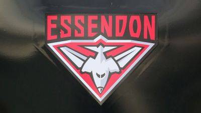 Australian football club to research whether bombers logo is 'offensive': report