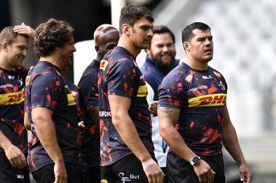 Stormers handed Champions Cup draw from hell, Sharks will fancy chances in Challenge Cup