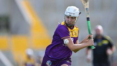All-Ireland Camogie Championship: All you need to know - rte.ie - Ireland -  Dublin