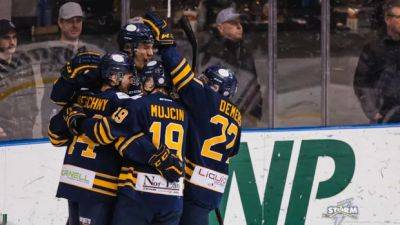 Northern Alberta junior hockey team on thin ice due to pandemic debt