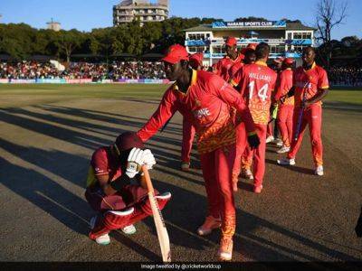 "Didn't Deserve To Win": West Indies Coach Daren Sammy After Loss vs Zimbabwe