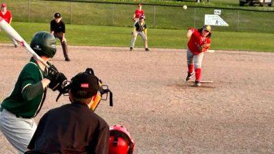 Safe at the plate: How P.E.I. is changing the 'culture' of abuse toward umpires