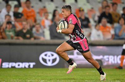 Currie Cup - Five Currie Cup gems deserving of a shot in the brighter lights of the URC - news24.com