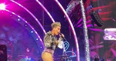 Pink fan throws 'bag of mother's ashes' on stage during performance