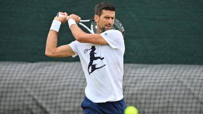 Novak Djokovic will be undisputed tennis GOAT if he wins 'a few more slams', says Roger Federer's ex-coach Ivan Ljubicic