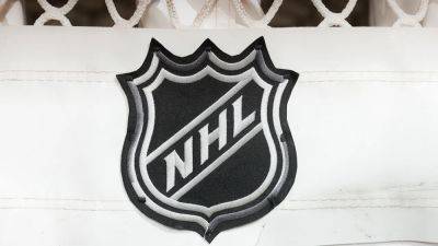 NHL, NHLPA launch inclusion coalition to 'support diversity in hockey'