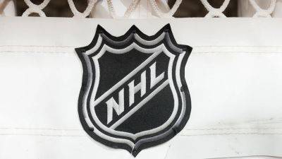 NHL, NHLPA launch inclusion coalition to 'support diversity in hockey' - foxnews.com - state Tennessee - state New Jersey - county Rich