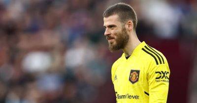 David de Gea has told Manchester United what he wants amid contract uncertainty
