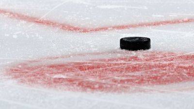 Sources -- Premier Hockey Federation sale could unite women's hockey - ESPN