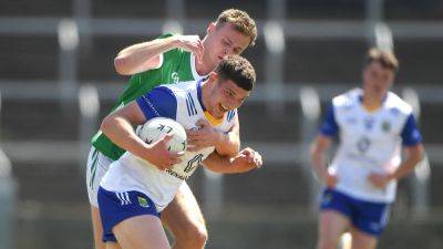 Wicklow stun group winners Limerick to end their Tailteann Cup campaign on a high