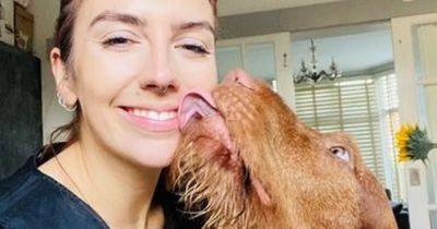 "It's hard to be sad with a big ginger dog looking up at you like this": The love that changes lives