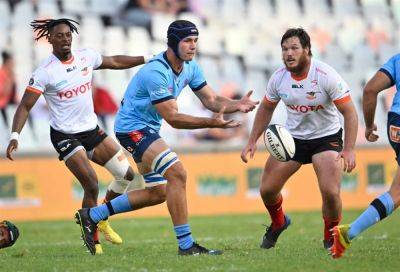 Everitt certain talented Bulls youngsters ‘not hurt' by URC-flavoured Currie Cup selections