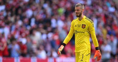 David de Gea told what he needs in order to excel at Manchester United next season