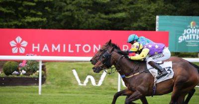 Hamilton racing tips plus best bets for Ffos Las, Uttoxeter, Chelmsford and Yarmouth - dailyrecord.co.uk - county Hamilton - county Williams - county Johnston - county Windsor