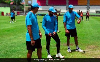 Ravindra Jadeja's Picture With R Ashwin, Rahul Dravid Features '1 Horse And 2 GOATs'