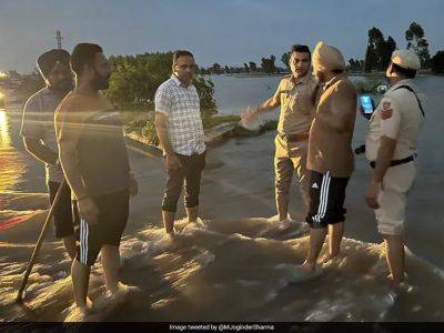 2007 T20 World Cup-winning Hero Joginder Sharma, Now DSP, Helps In Flood Relief Efforts In Ambala - sports.ndtv.com - Australia - India - Pakistan
