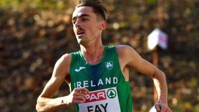 Brian Fay breaks long-standing Irish 5000m record - rte.ie - Belgium - Washington - Ireland