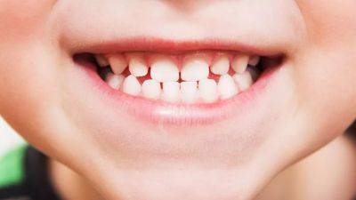 A drug that makes teeth regrow: Scientists move closer to clinical trials