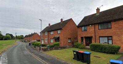 Four adults hunted after suspected attempted abduction of little girl in Cheshire