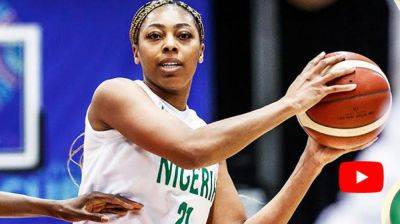 New era? D’Tigress to defend title without Senegal 2019 stars - guardian.ng - Senegal - Rwanda - Nigeria - state Michigan